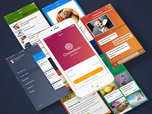 pg中国登录入口